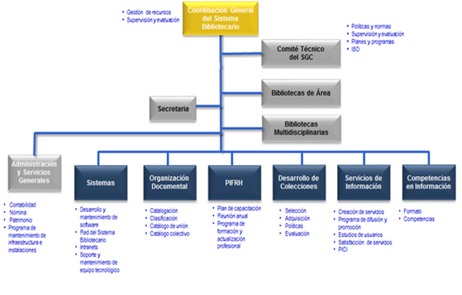 Estructura Organizacional